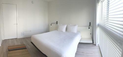 Beach Haus Key Biscayne Contemporary Apartments