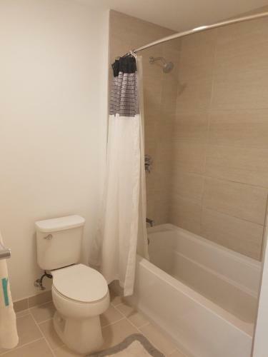 Ultraluxury Apartment In Brickell