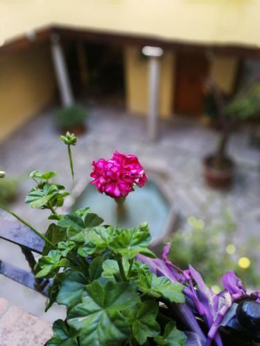 Apartamentos Tur�sticos Gloria