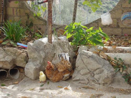 Agroturismo El Rincon De Carmen