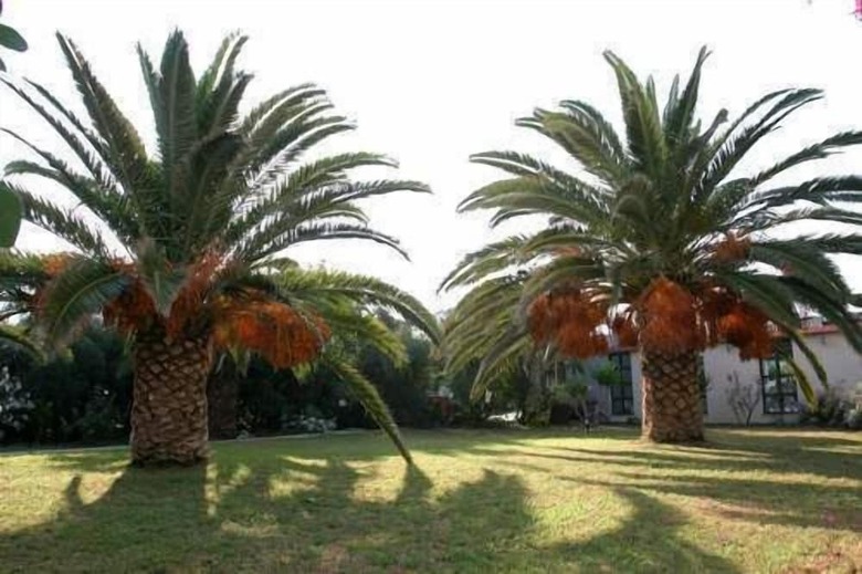 Hotel Gorgona Amudara