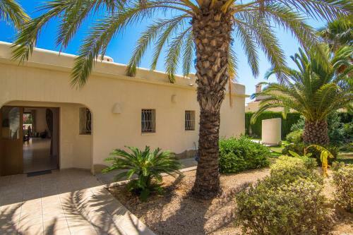 Abahana Villa Medina 12