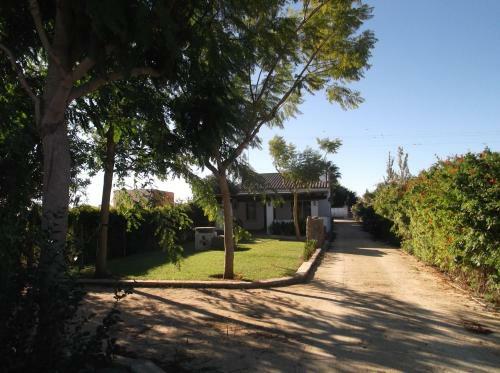 El Olivar De Roche Viejo