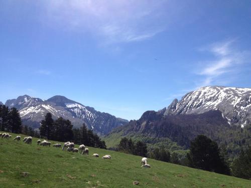 Hostal Pension Txiki