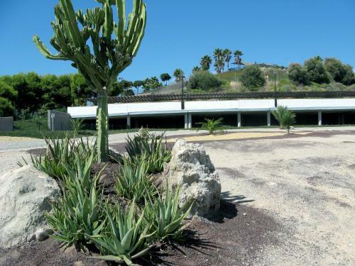 Apartamento Venavera Playa Altos