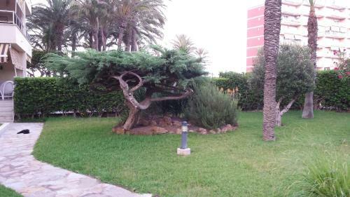 Apartamento Palmeral De Torrevieja