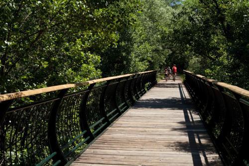 Agroturismo El Rinc�n De San Benito