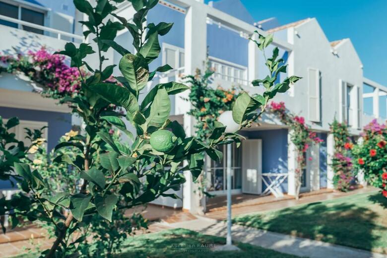 Apartamentos Club Ciudadela