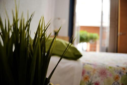 Mar Y Arte Apartamentos