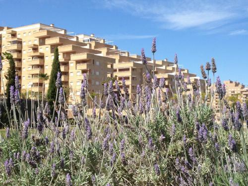 Apartamentos Be Suites Marina