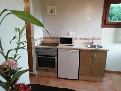 Apartamentos �scar Valle