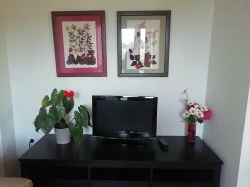 Apartamentos �scar Valle