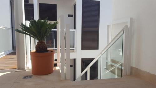 Hotel Isla Plana