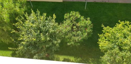 Apartamento Santa Clotilde