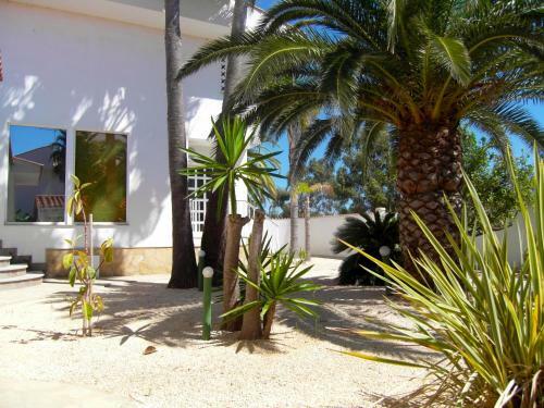 Apartment Los Eucaliptus