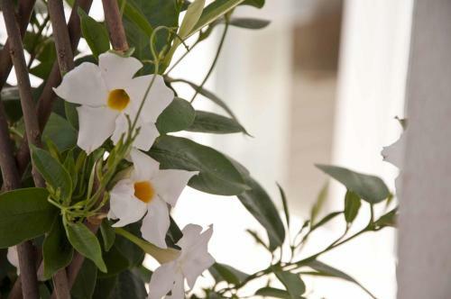 Bed & Breakfast Zalamera Bnb