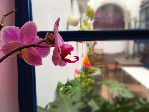 Bed & Breakfast El Sue�o Hostel