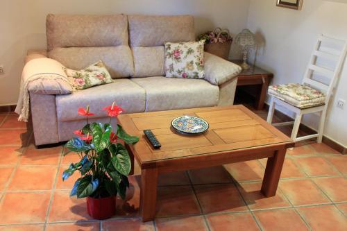 Apartamentos Santa Marta