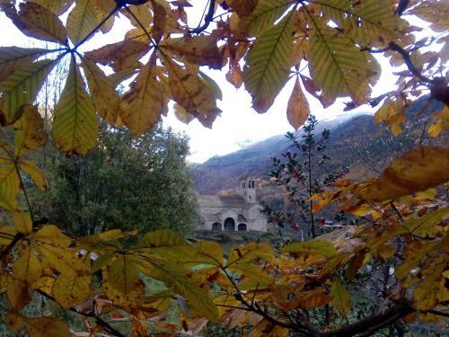 Albergue El �ltimo Bucardo