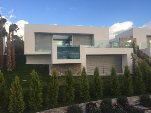 Las Colinas, Golf Club, Limonero 17