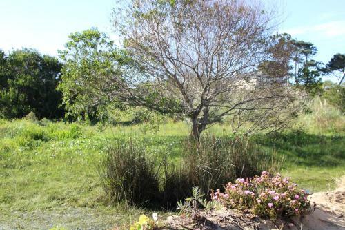 Agroturismo Angelo