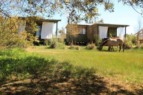 Agroturismo Angelo