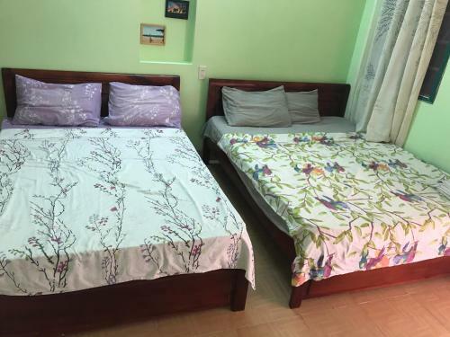 Hostal Papaya Guest House