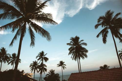 Posada M?i N� Thanh Tr�c Guest House