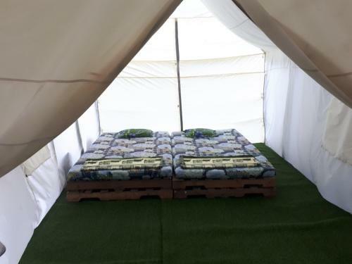 Hotel Longson Muine Backpacker Paradise