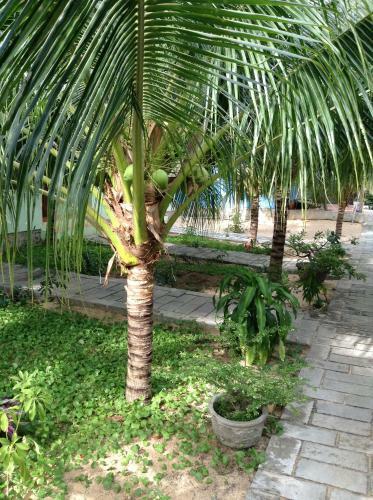 Hostal Cocosand Hotel