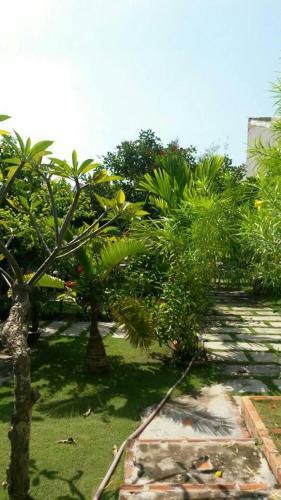 Guesthouse Trinh Tam