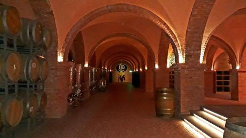 Hostal Cat Tien Guesthouse