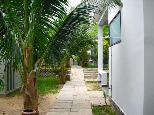 Villa Van Nguyen Minihouse