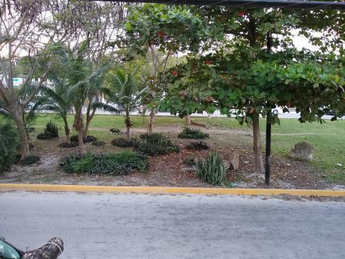 Residencia Casitas Kinsol