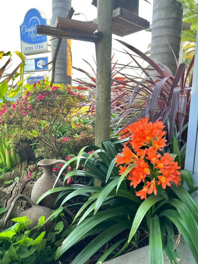 Hotel Best Western Coastal Waters Motor Inn