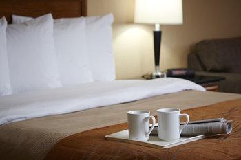 Holiday Inn Express Hotel & Suites Prince Albert