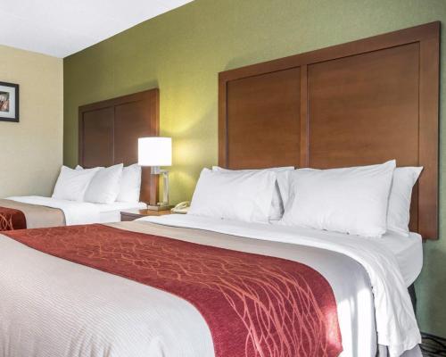Hotel Holiday Inn Express Winchester