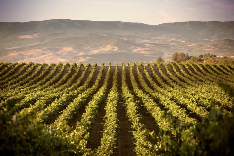 Hotel Boutique Eguren Ugarte