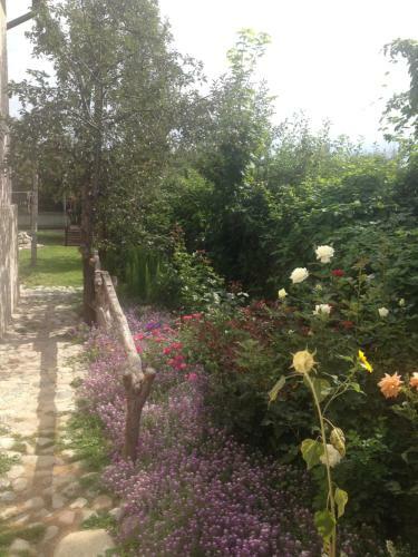Hostal Argo Guest House