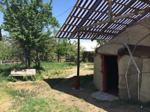 Turkestan Yurt Camp