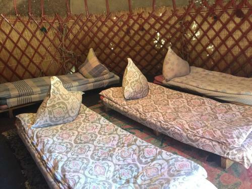 Turkestan Yurt Camp