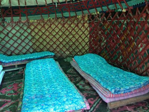 Turkestan Yurt Camp
