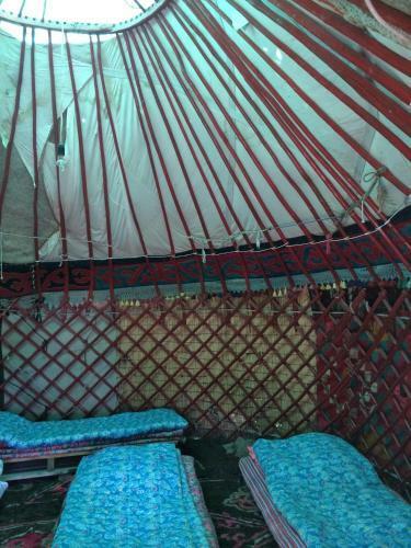 Turkestan Yurt Camp