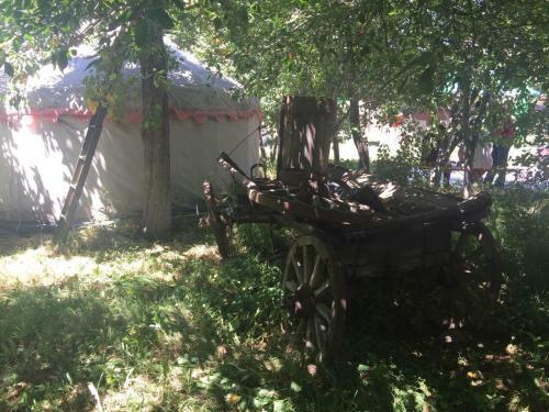 Turkestan Yurt Camp