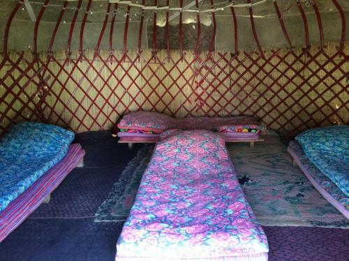 Turkestan Yurt Camp