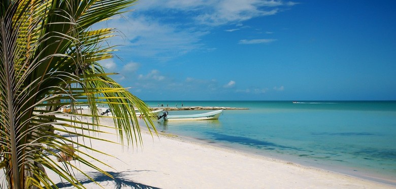 La Palapa Xperience Hotels