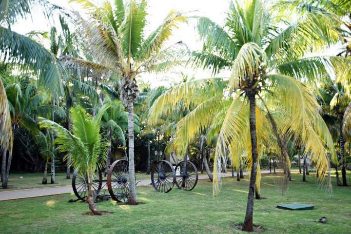 Hotel Starfish Varadero