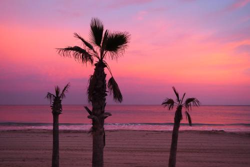 Apartamentos Hipocampos Calpe Rent Apart