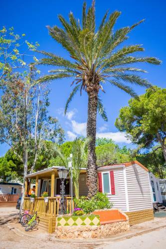 Camping Sant Salvador