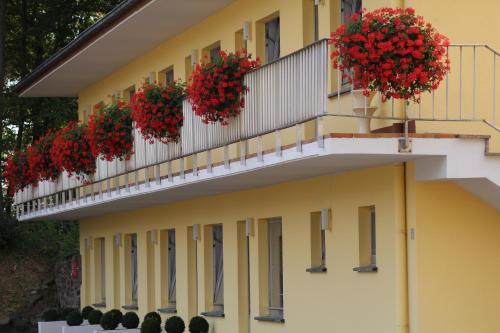 Hotel Drive In Motel Concept